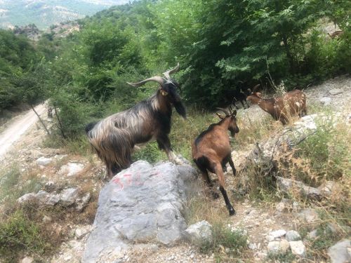 ALBANIA TREKKING 2022